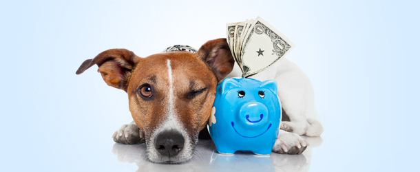Image result for Hond met geld
